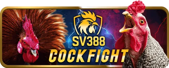 Đa dạng trò chơi to888 code